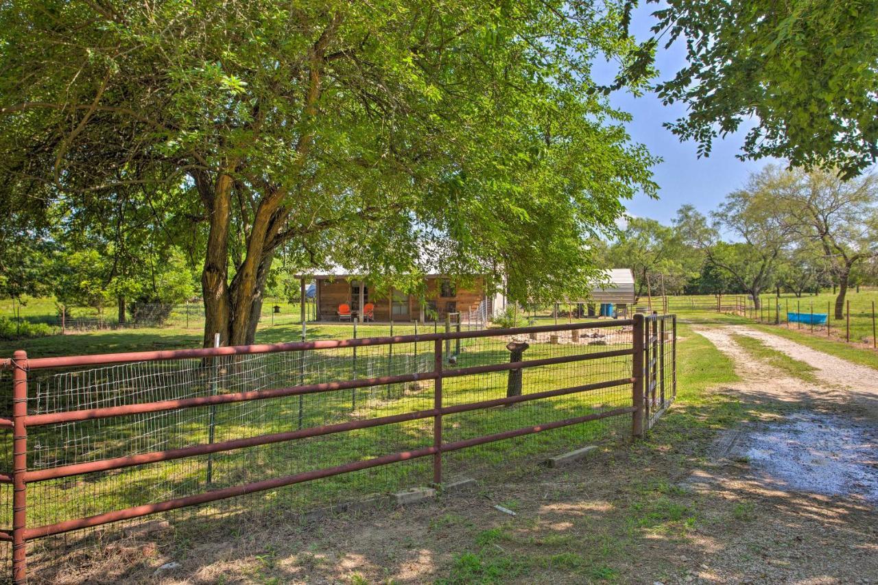 Texas Cabin On 130 Acres Walk To Lake Ray Roberts Collinsville Dış mekan fotoğraf