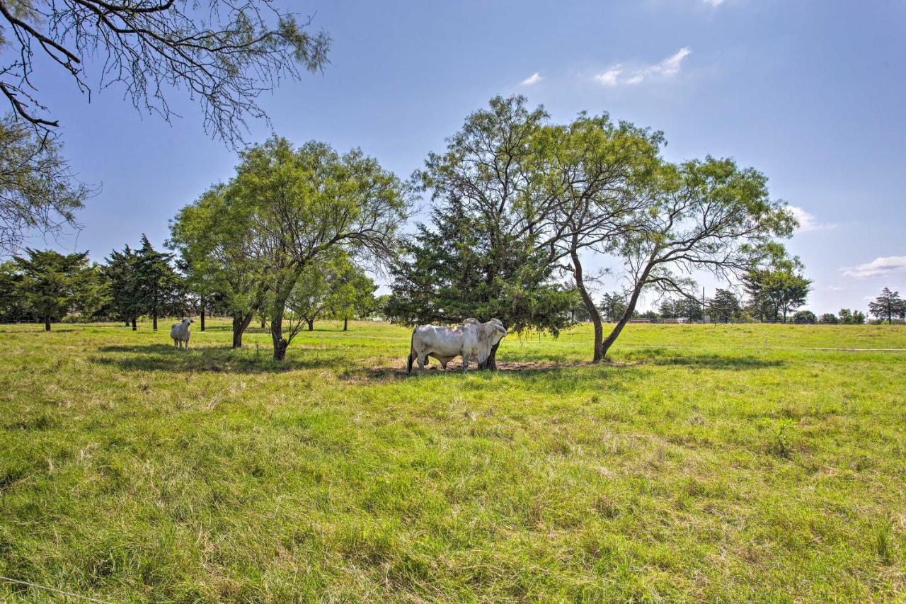 Texas Cabin On 130 Acres Walk To Lake Ray Roberts Collinsville Dış mekan fotoğraf